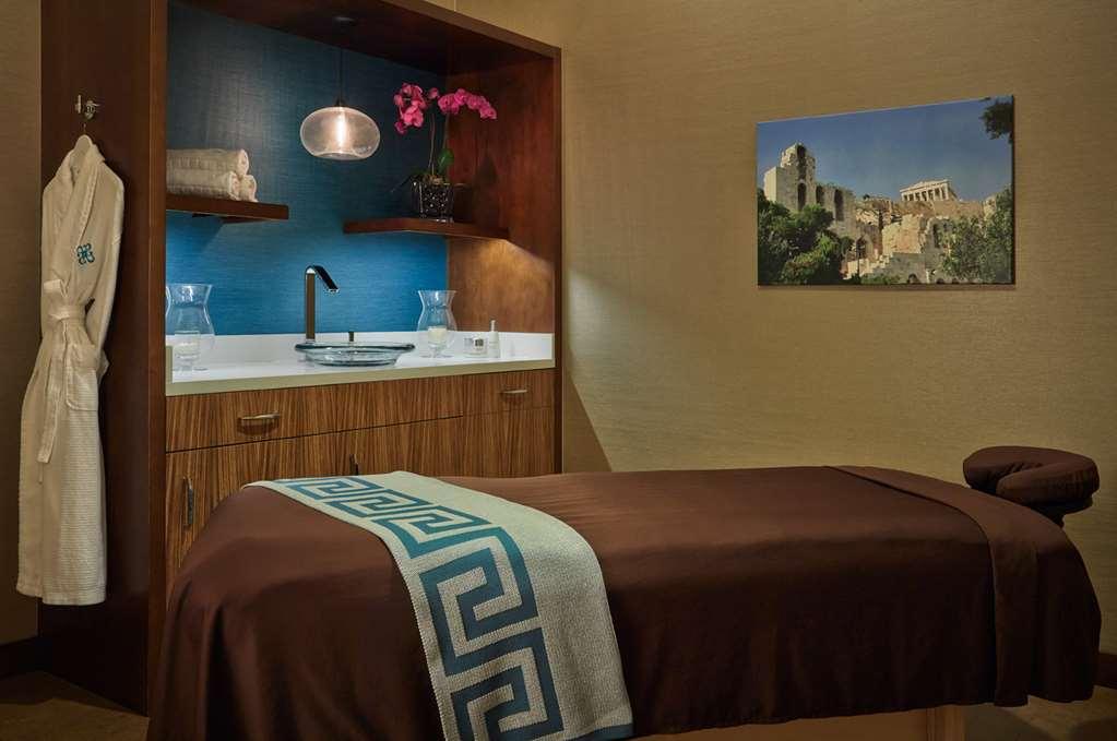 Hotel Arista Naperville Servizi foto